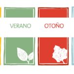 Tu vida en estaciones - primavera, verano, otoño e invierno - la enseñanza de Carlos Kasuga